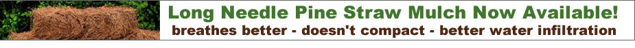 Long Needle Pine Straw Mulch